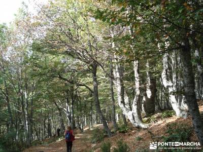 Montaña palentina;tienda senderismo madrid tiendas de alpinismo en madrid parques naturales de la r